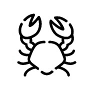 Морепродукты