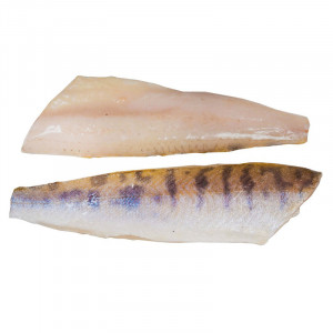 СУДАК (филе на коже) СУДАК (филе на коже)